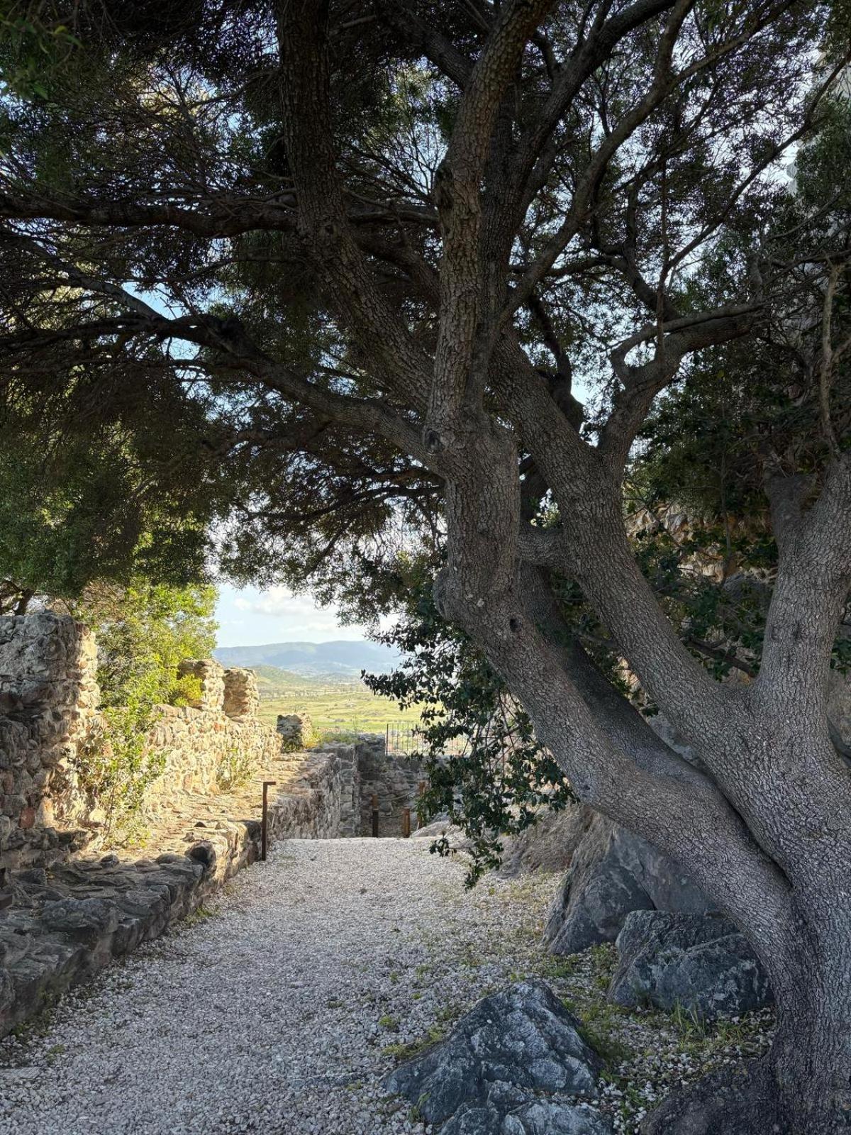 Hotel Villa Mare San Giovanni  Bagian luar foto